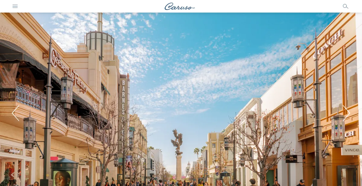 Homepage of the Caruso website